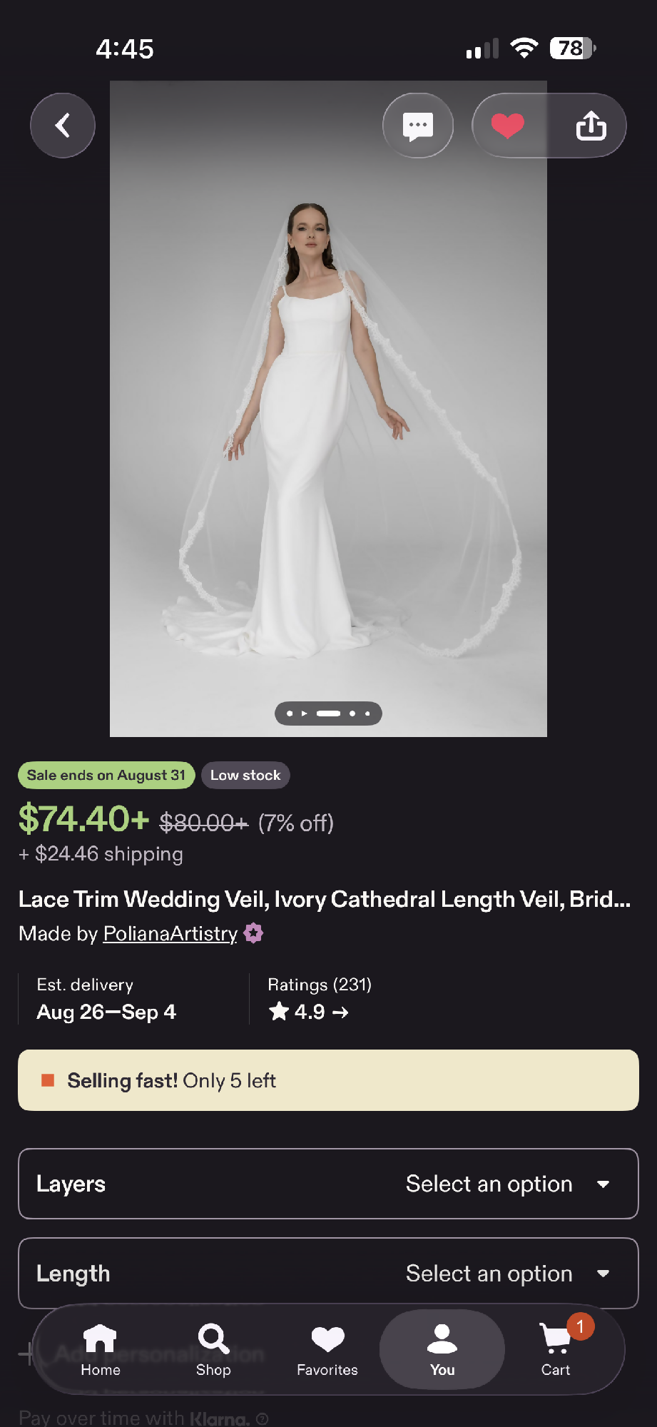 Royal Length Lace Trim Veil