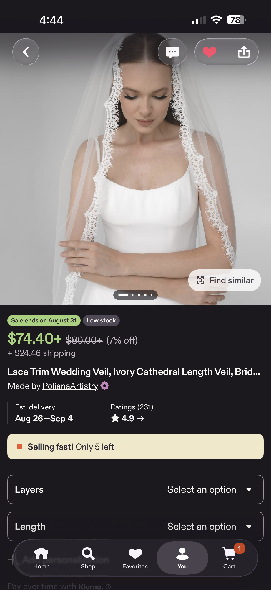 Royal Length Lace Trim Veil