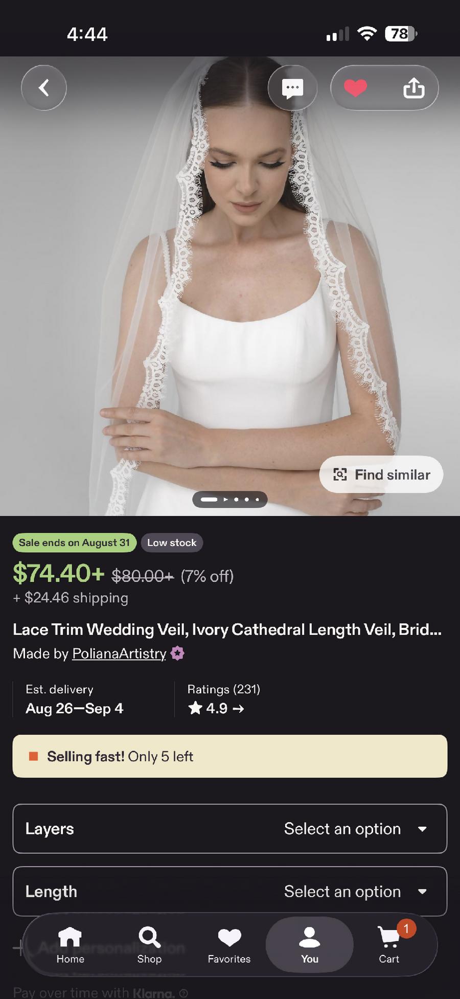 Royal Length Lace Trim Veil